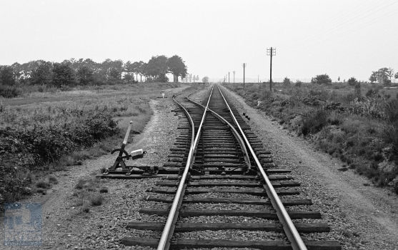 [NVBS-NOLS_016]