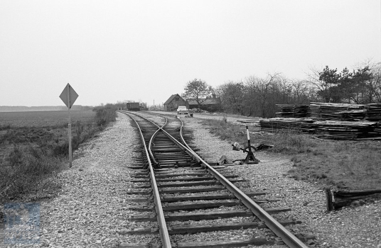 [NVBS-NOLS_032]