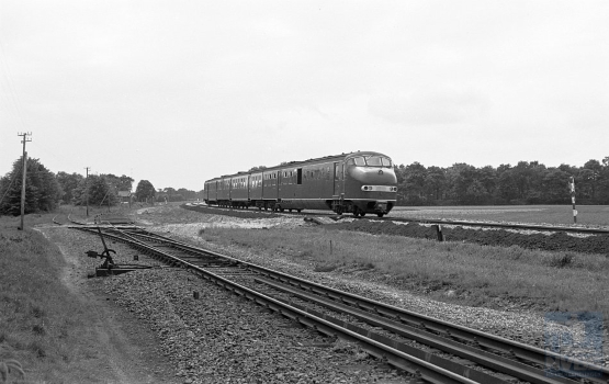 [NVBS-NOLS_040]