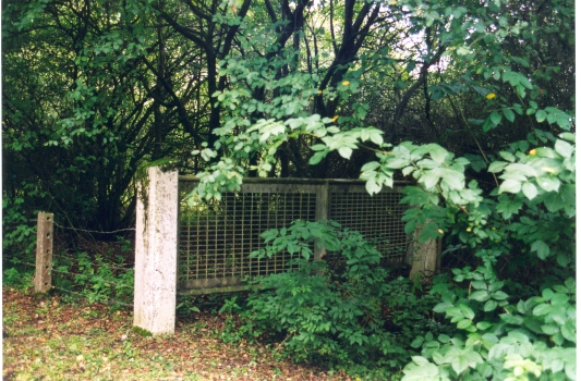 [egd_gasselternijveen_002]