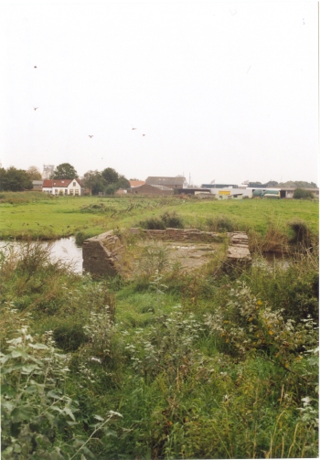 [farmsum_006]